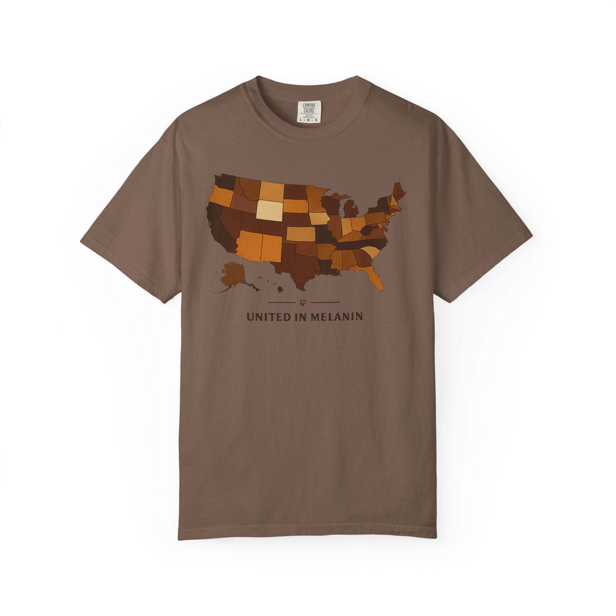 United in Melanin T-Shirt — Brown Shades USA Map Pride Tee