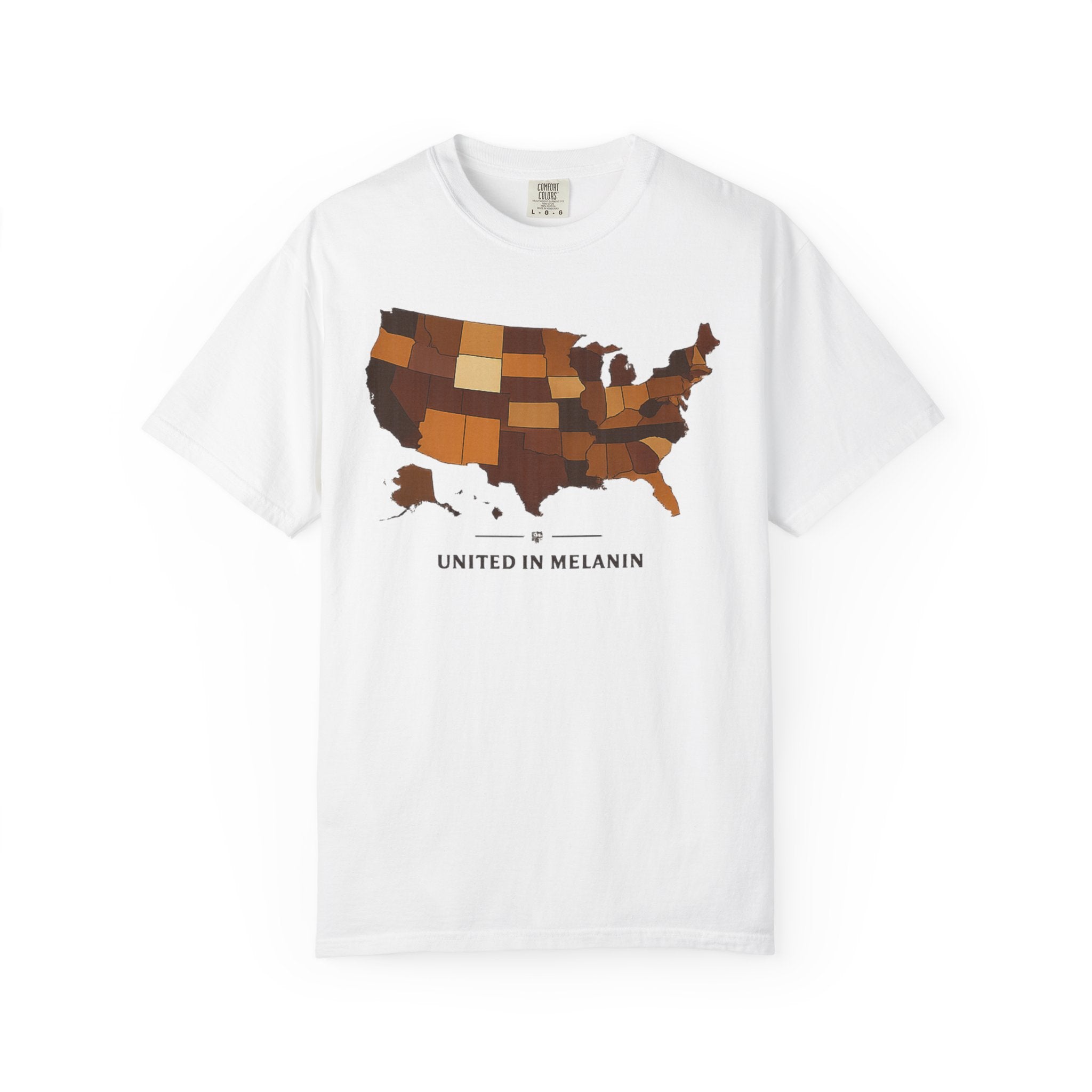 United in Melanin T-Shirt — Brown Shades USA Map Pride Tee