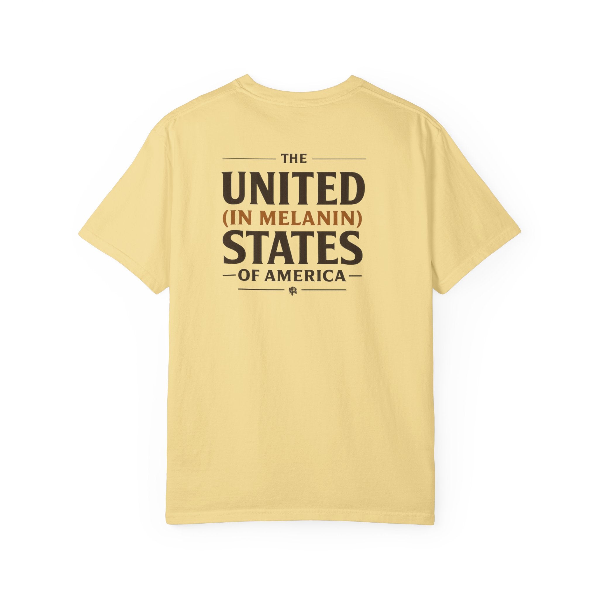 United in Melanin T-Shirt — Brown Shades USA Map Pride Tee