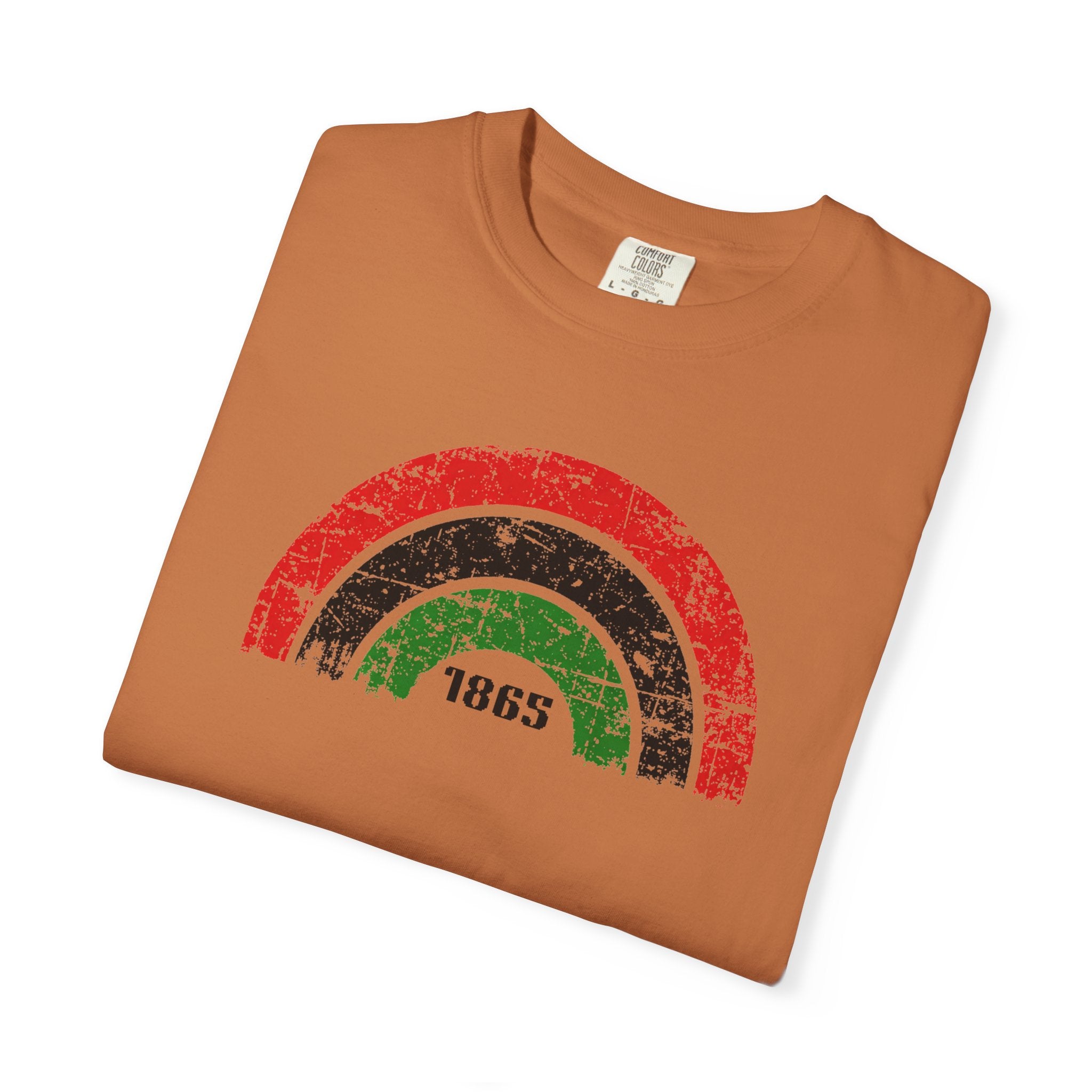 1865 Freedom Rainbow T-Shirt