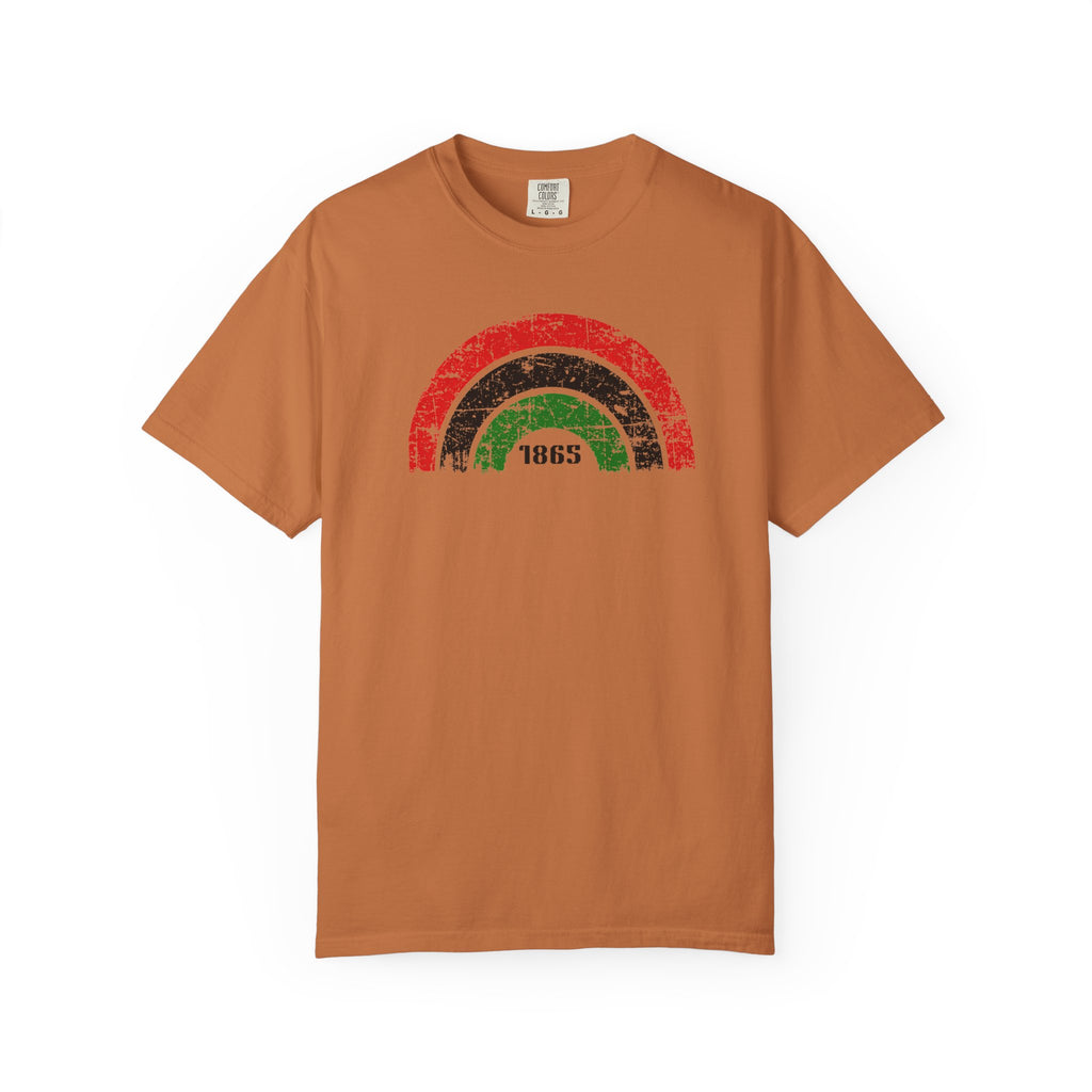 1865 Freedom Rainbow T-Shirt