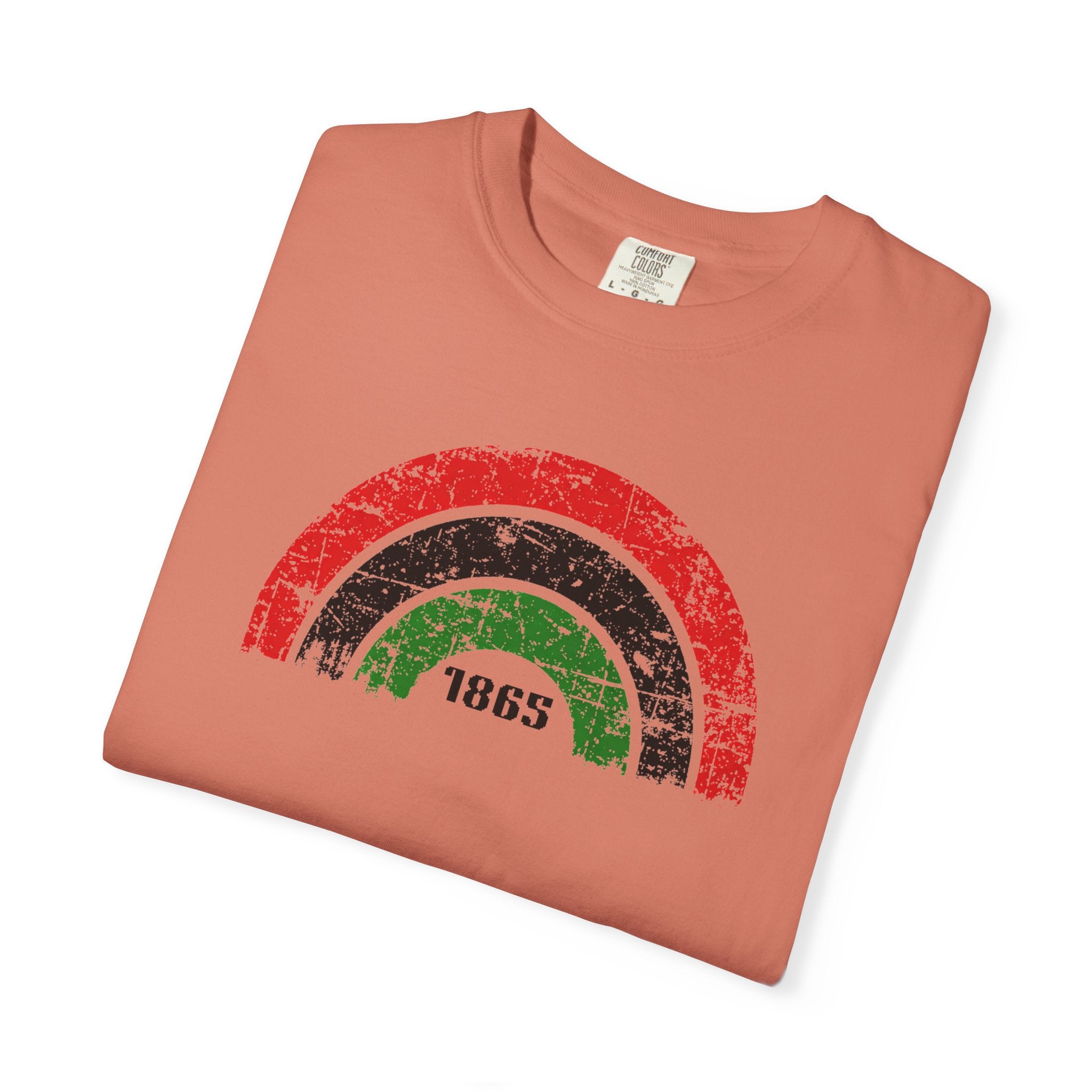 1865 Freedom Rainbow T-Shirt