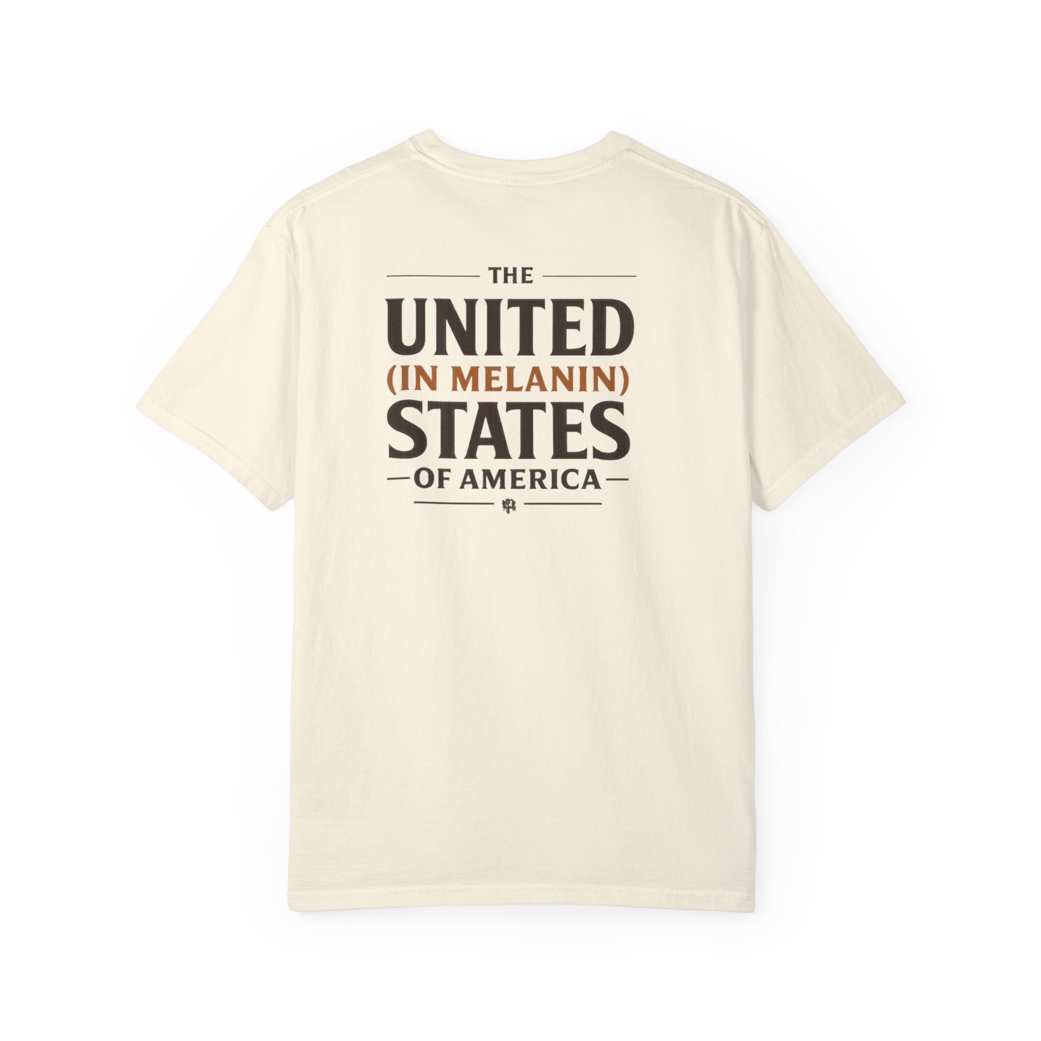 United in Melanin T-Shirt — Brown Shades USA Map Pride Tee