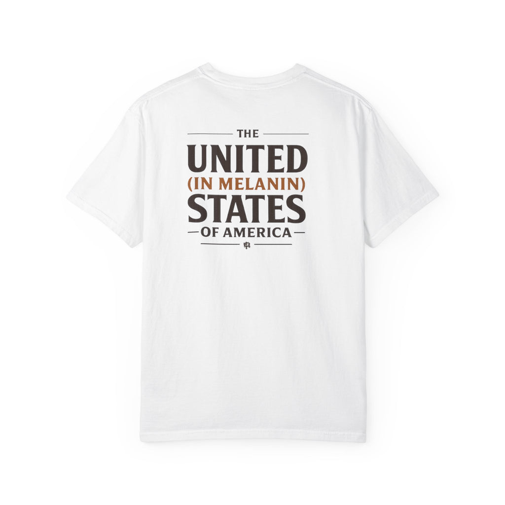 United in Melanin T-Shirt — Brown Shades USA Map Pride Tee