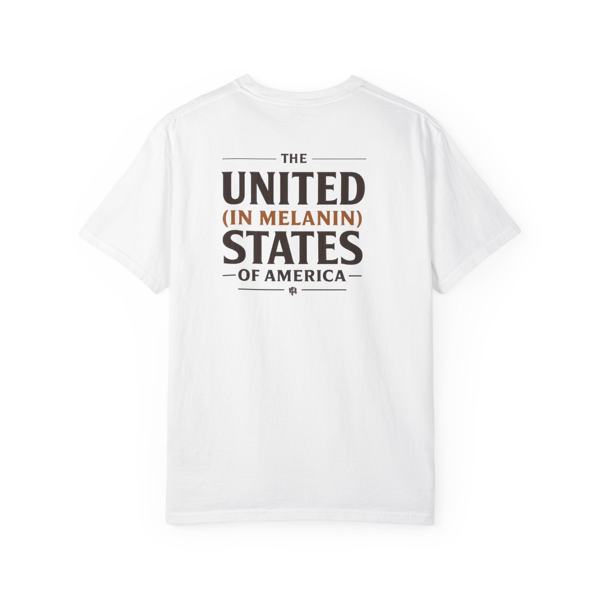 United in Melanin T-Shirt — Brown Shades USA Map Pride Tee