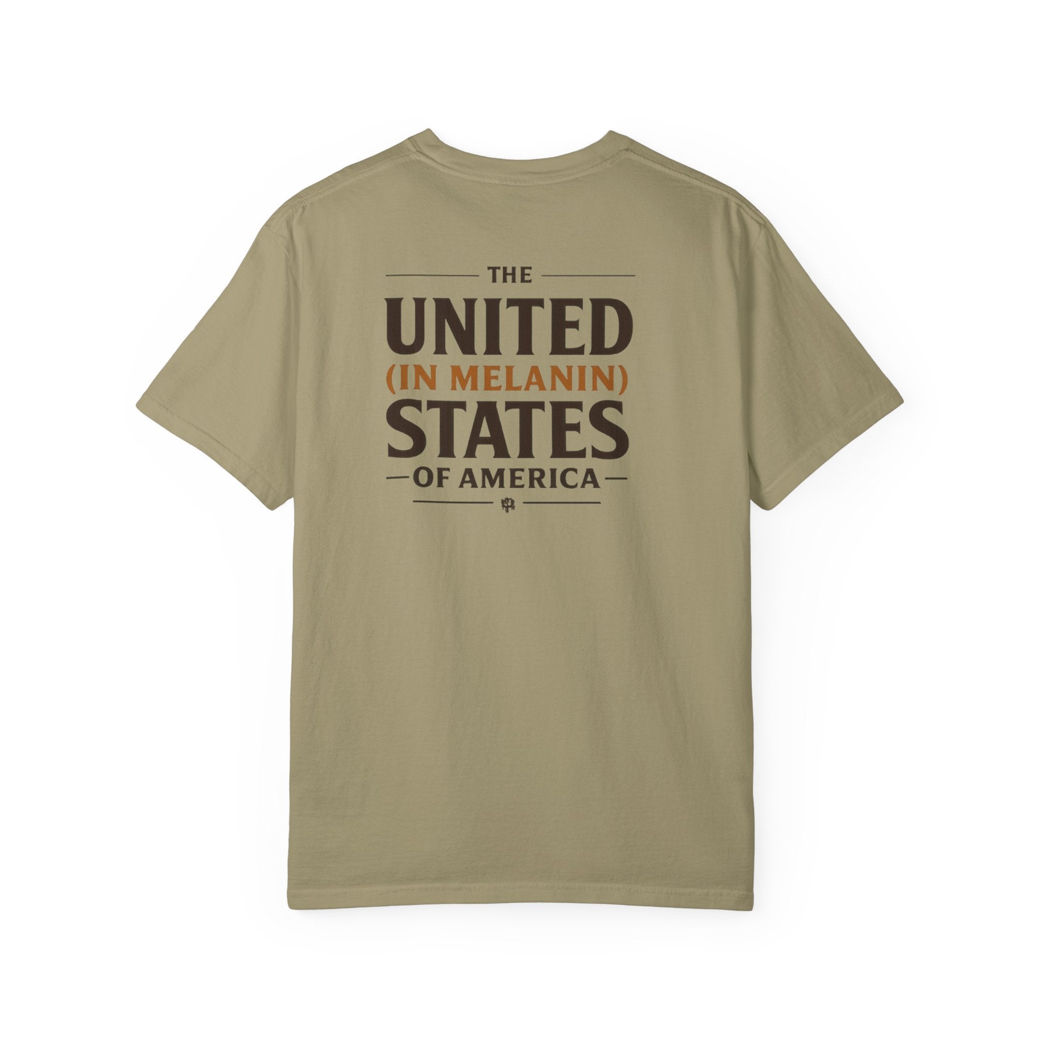United in Melanin T-Shirt — Brown Shades USA Map Pride Tee
