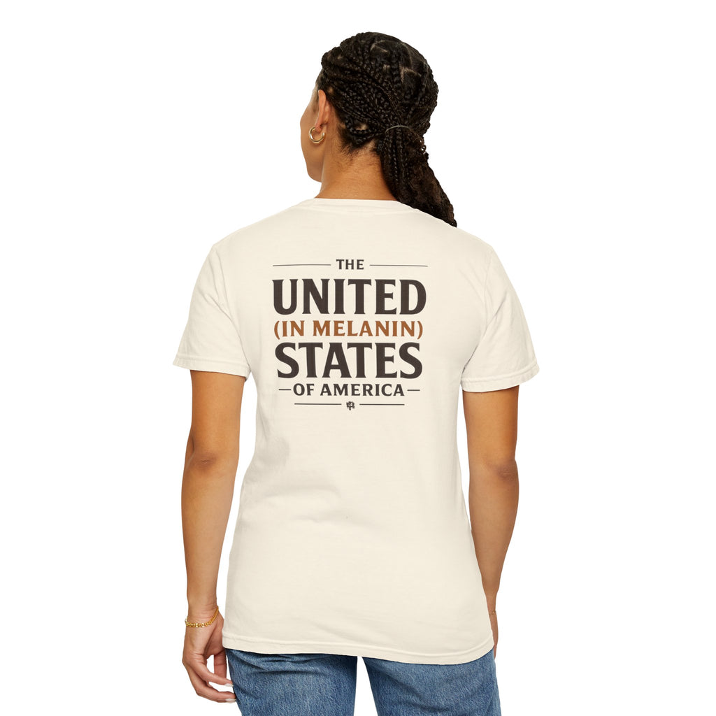 United in Melanin T-Shirt — Brown Shades USA Map Pride Tee