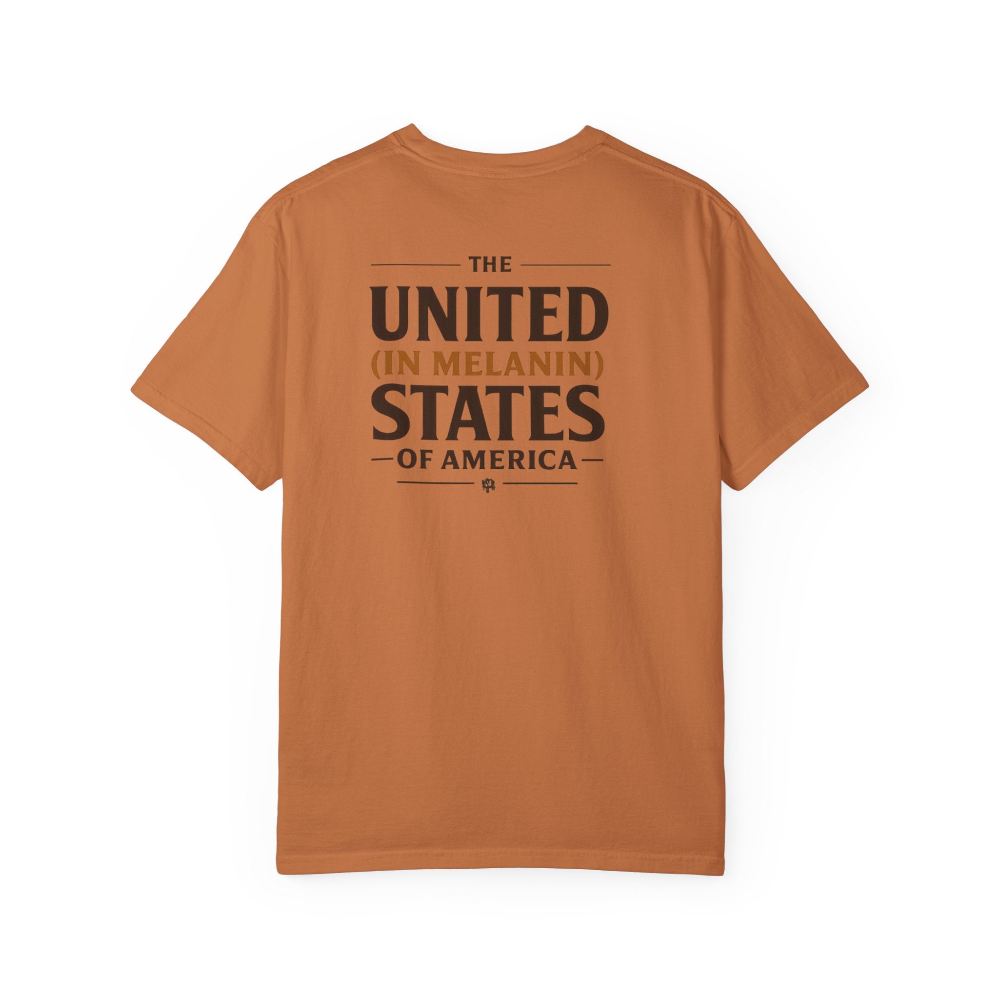 United in Melanin T-Shirt — Brown Shades USA Map Pride Tee