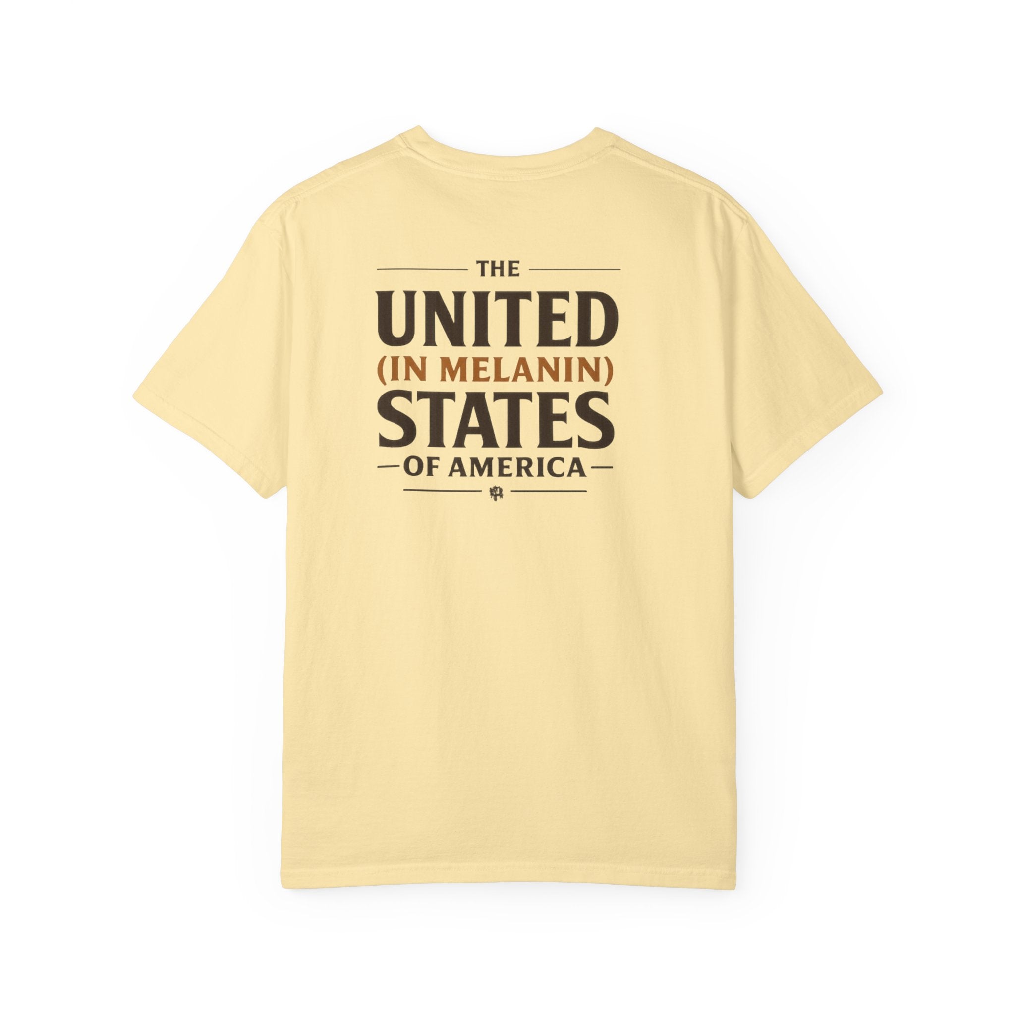 United in Melanin T-Shirt — Brown Shades USA Map Pride Tee