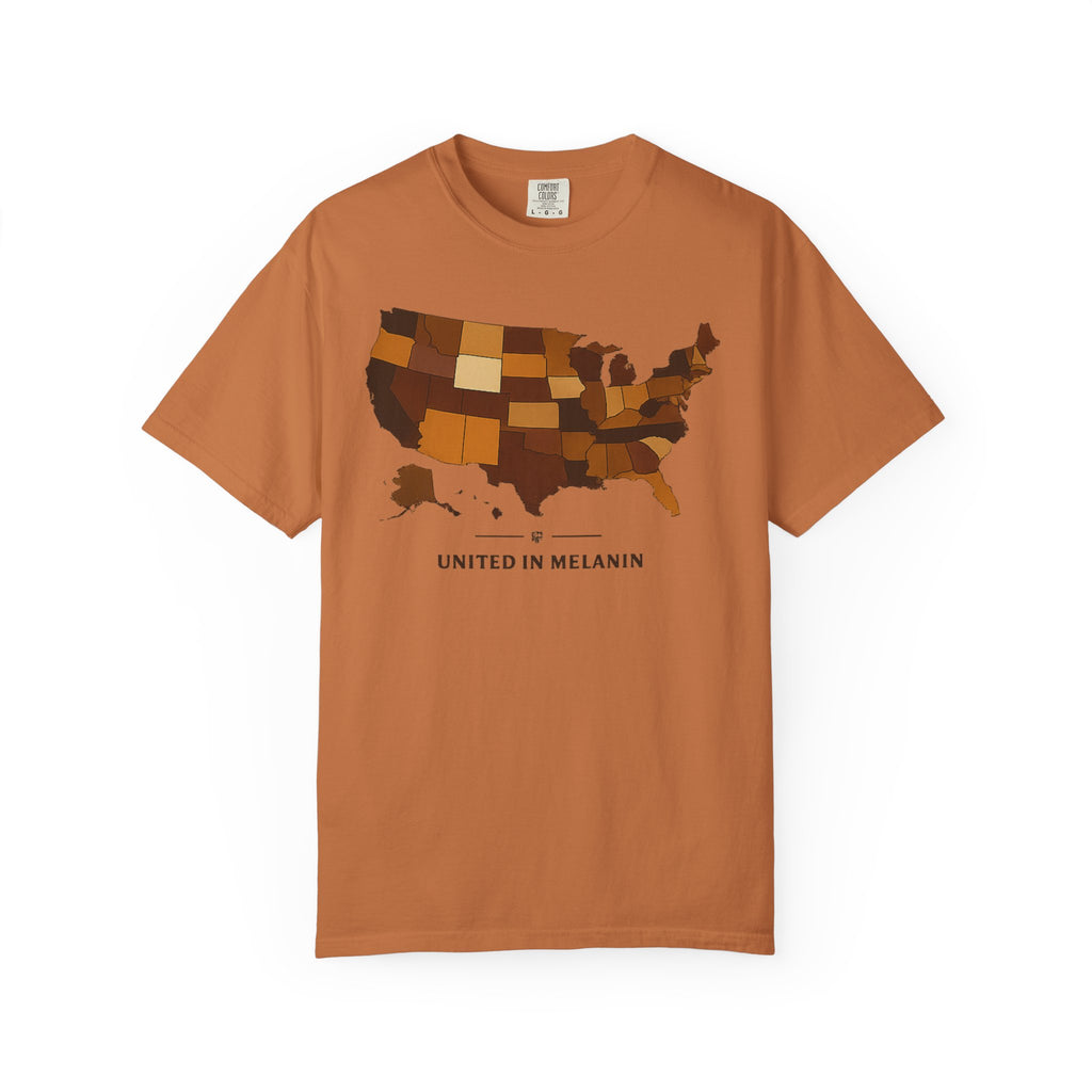United in Melanin T-Shirt — Brown Shades USA Map Pride Tee