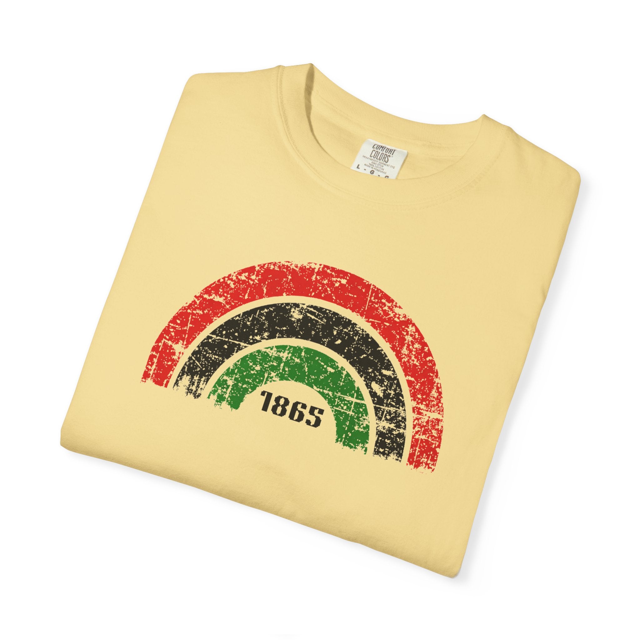 1865 Freedom Rainbow T-Shirt
