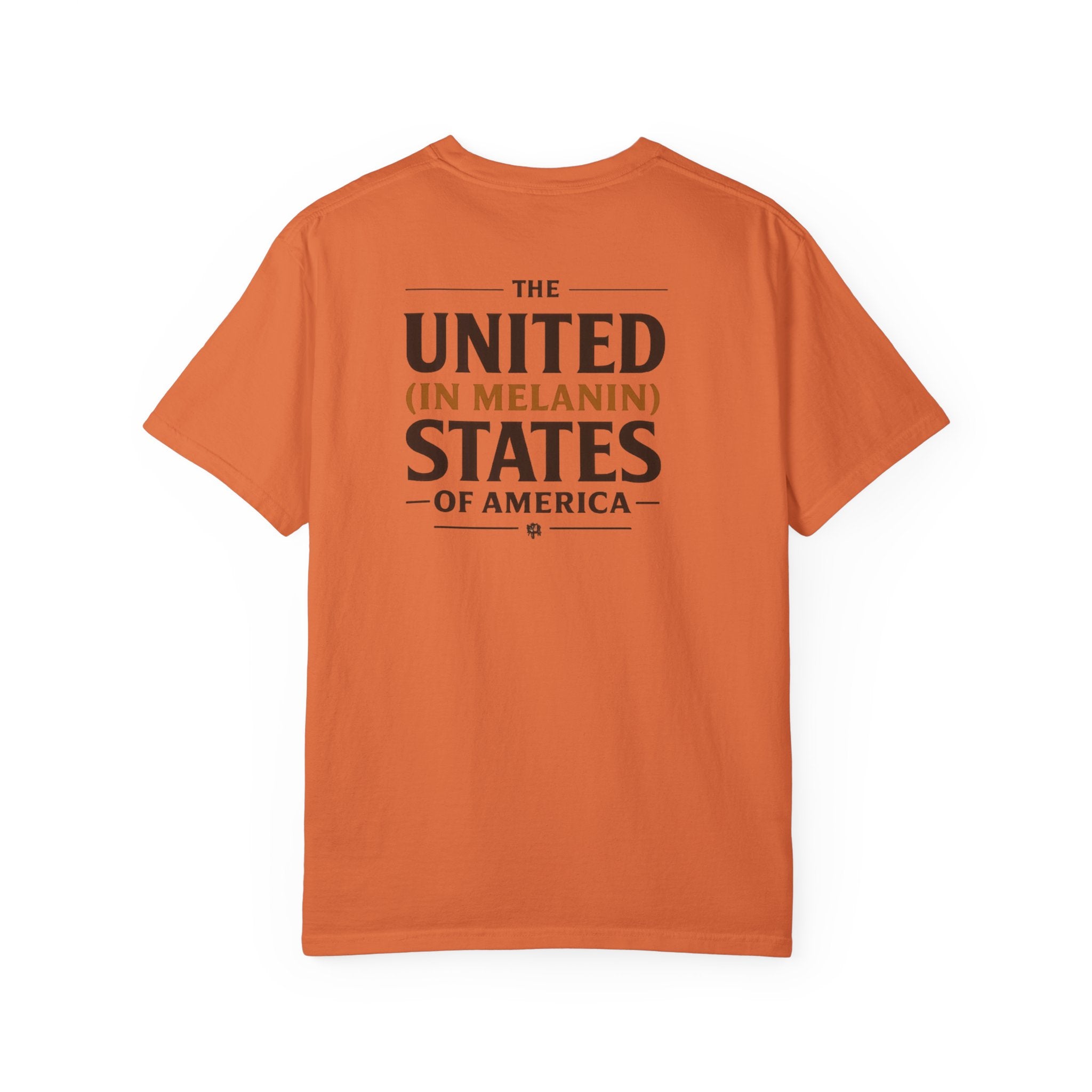 United in Melanin T-Shirt — Brown Shades USA Map Pride Tee