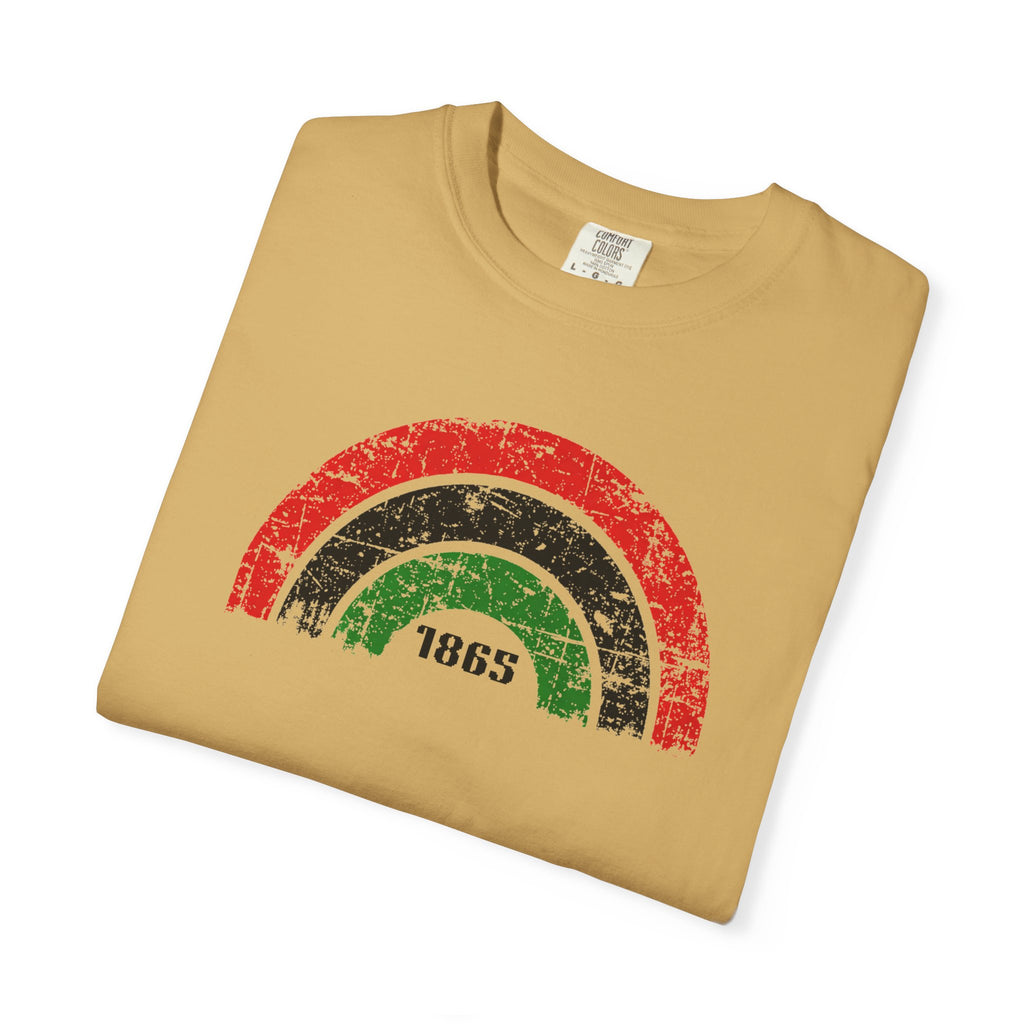 1865 Freedom Rainbow T-Shirt