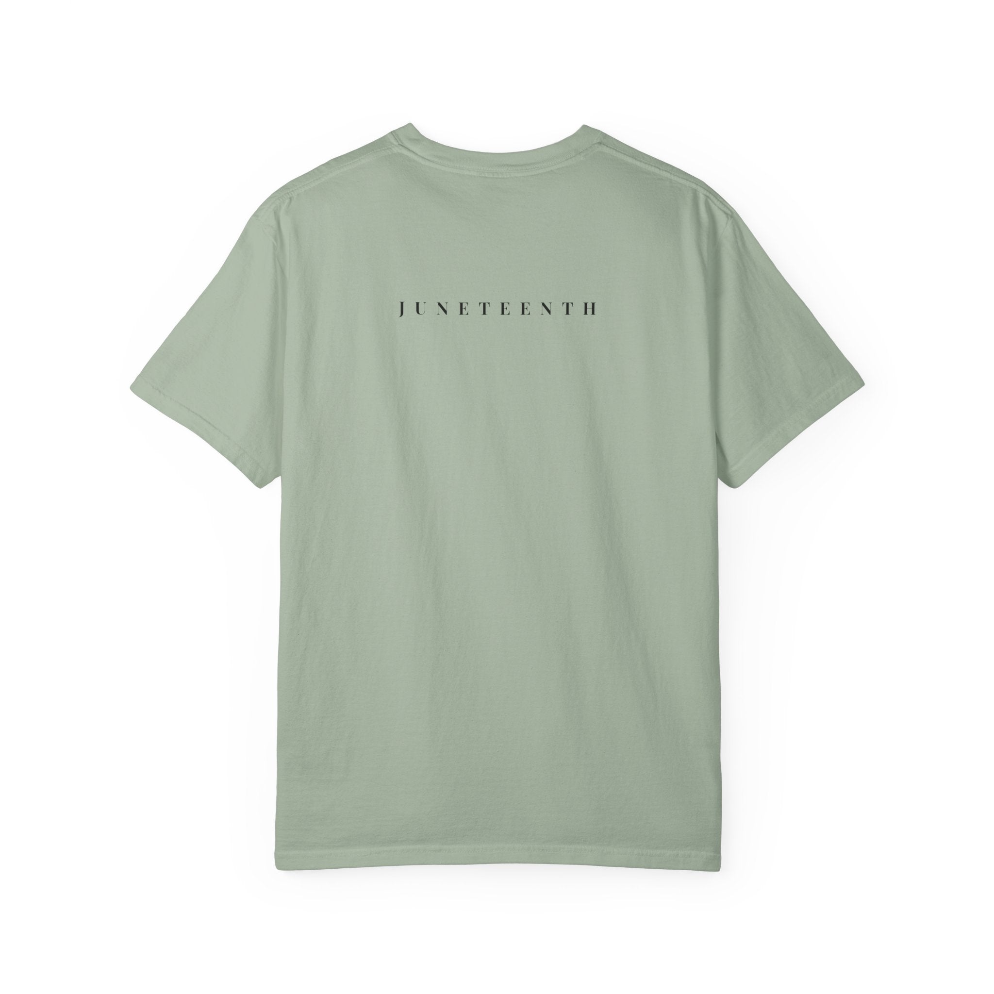 1865 Freedom Rainbow T-Shirt