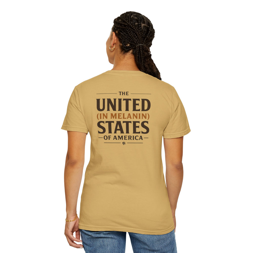 United in Melanin T-Shirt — Brown Shades USA Map Pride Tee