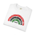 1865 Freedom Rainbow T-Shirt