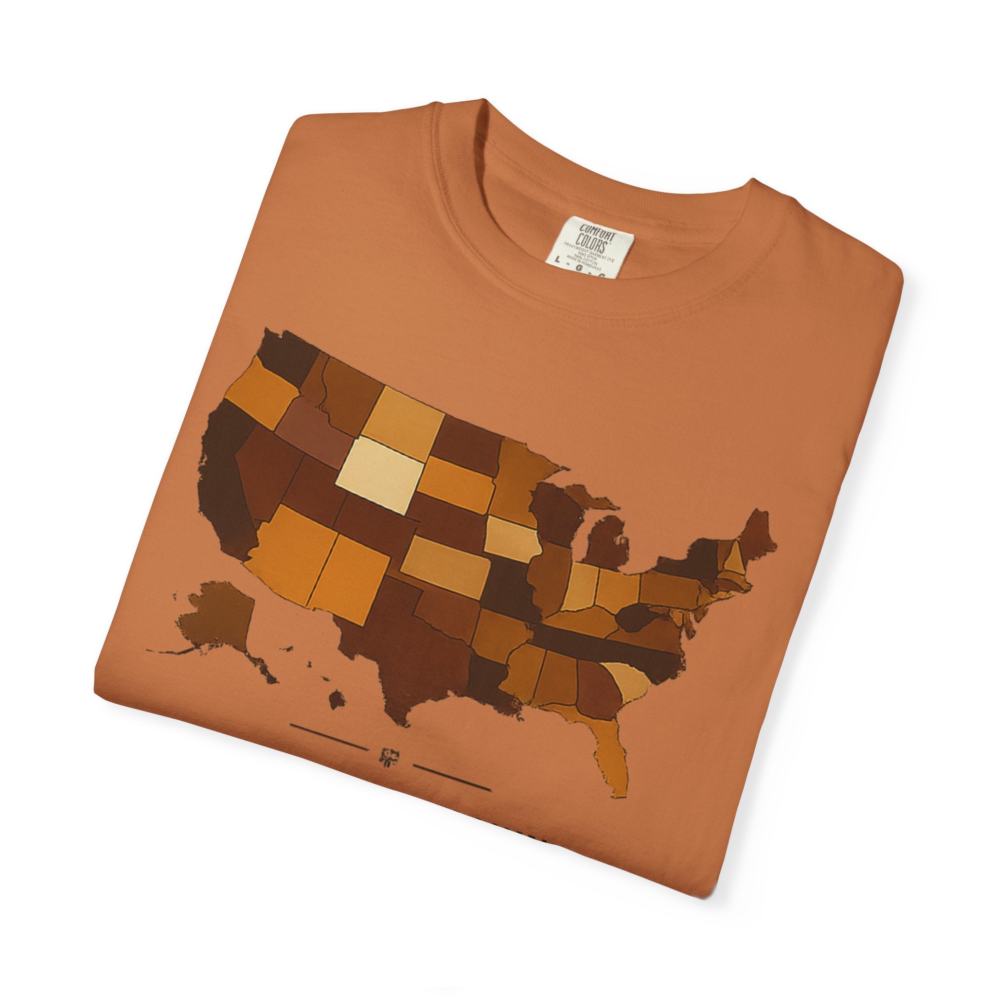 United in Melanin T-Shirt — Brown Shades USA Map Pride Tee