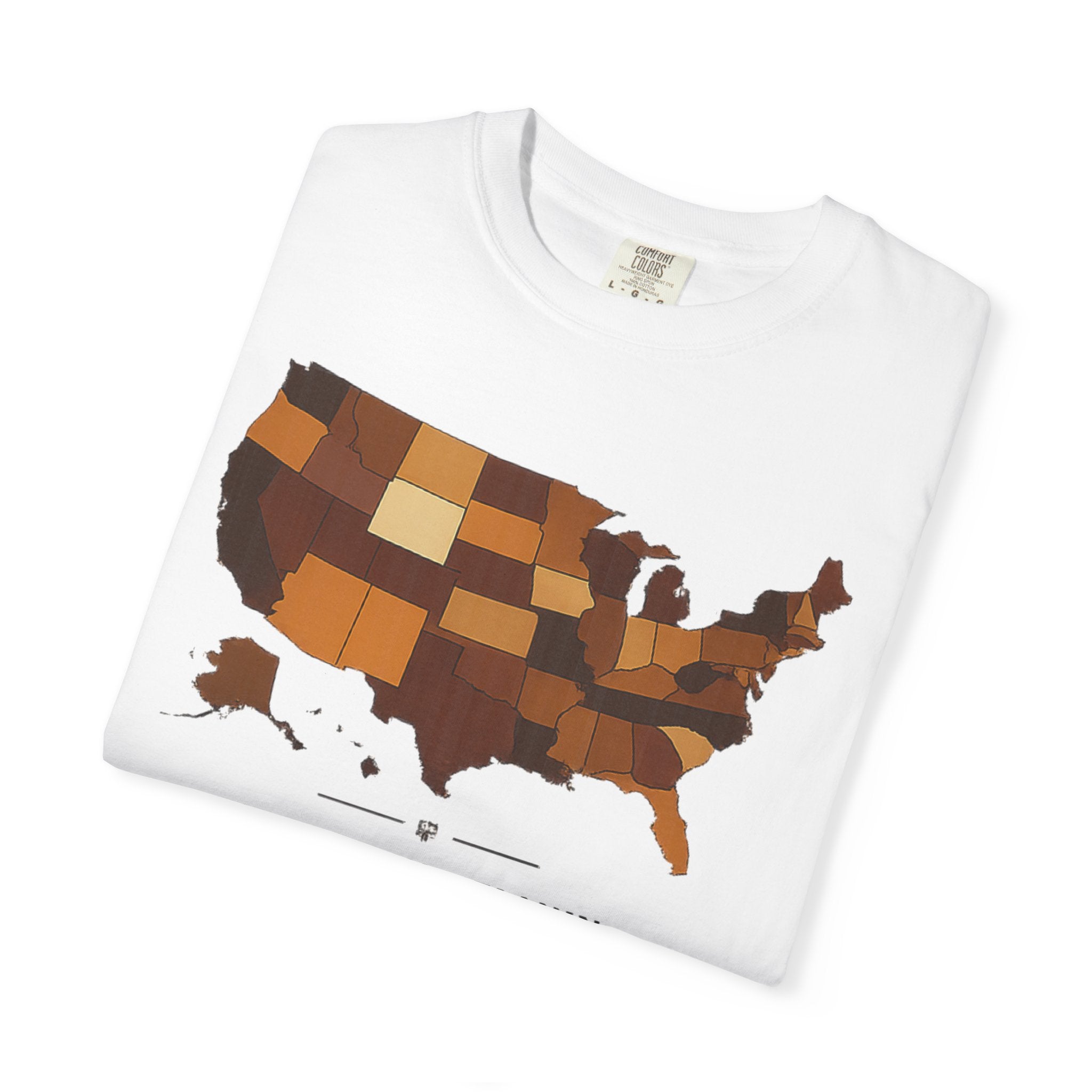 United in Melanin T-Shirt — Brown Shades USA Map Pride Tee