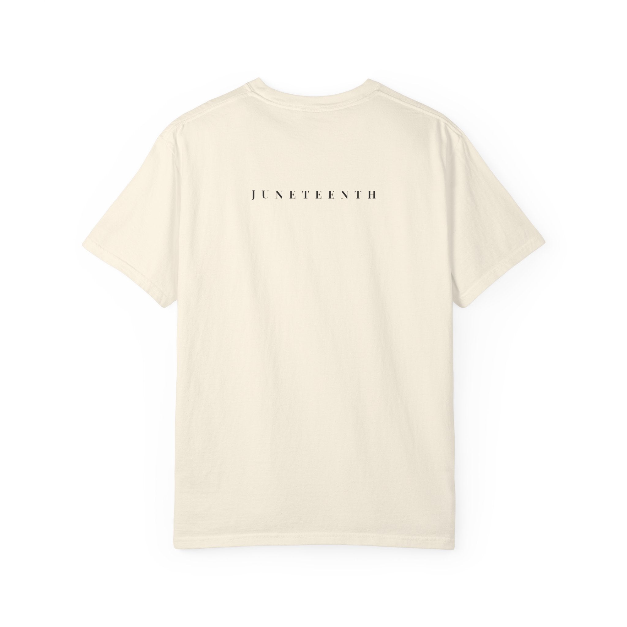 1865 Freedom Rainbow T-Shirt