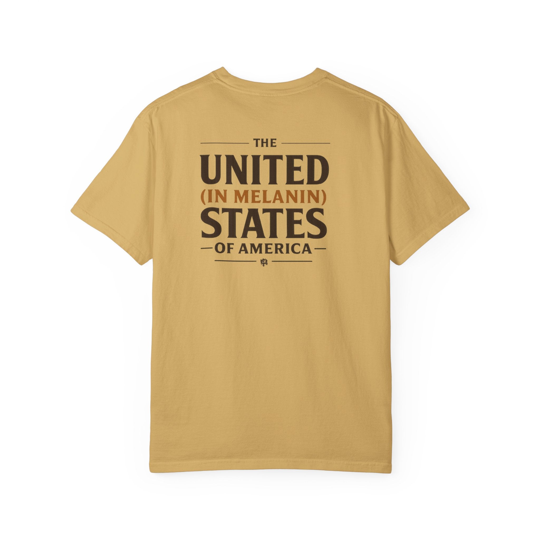 United in Melanin T-Shirt — Brown Shades USA Map Pride Tee
