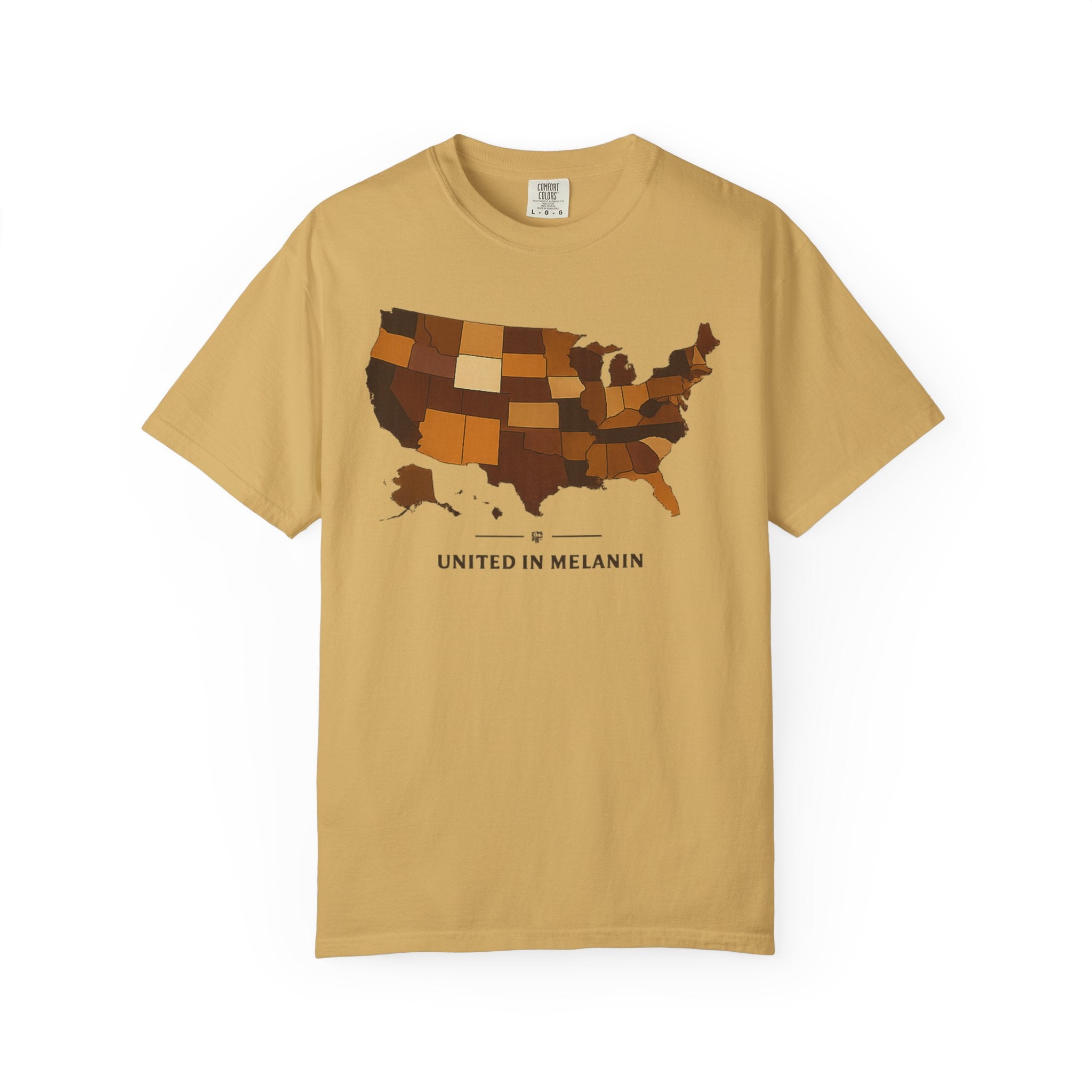 United in Melanin T-Shirt — Brown Shades USA Map Pride Tee