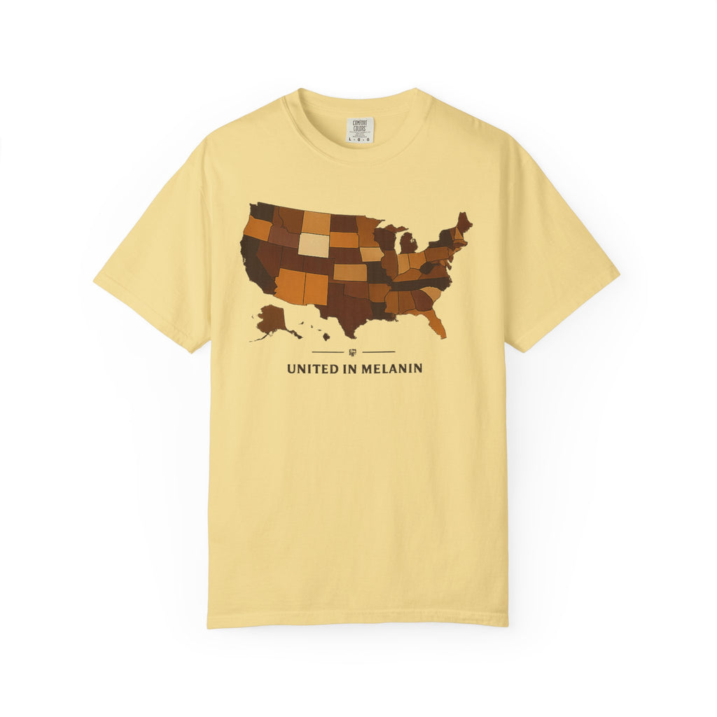United in Melanin T-Shirt — Brown Shades USA Map Pride Tee