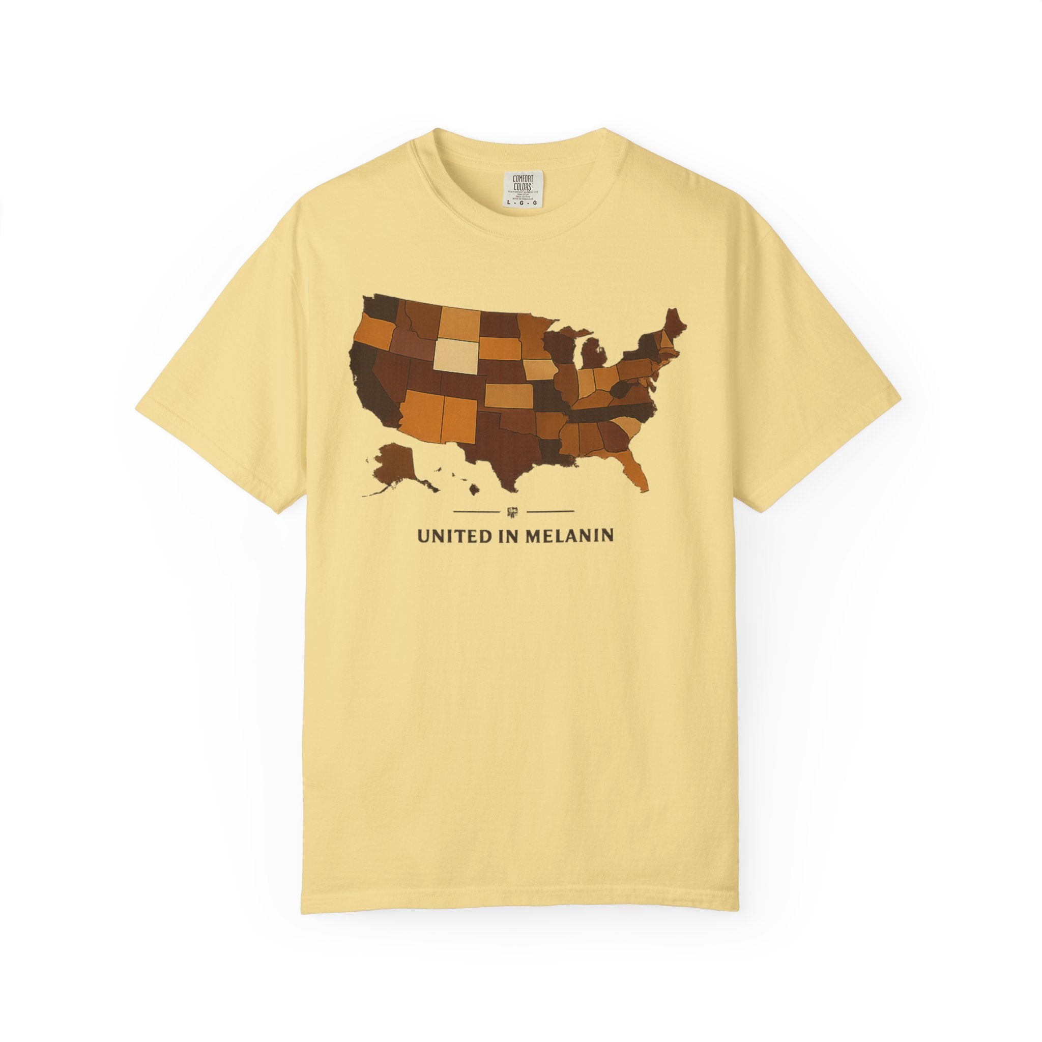 United in Melanin T-Shirt — Brown Shades USA Map Pride Tee