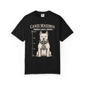 CANIS MAXIMUS™ | Strength. Loyalty. Presence. | Cane Corso Graphic Tee