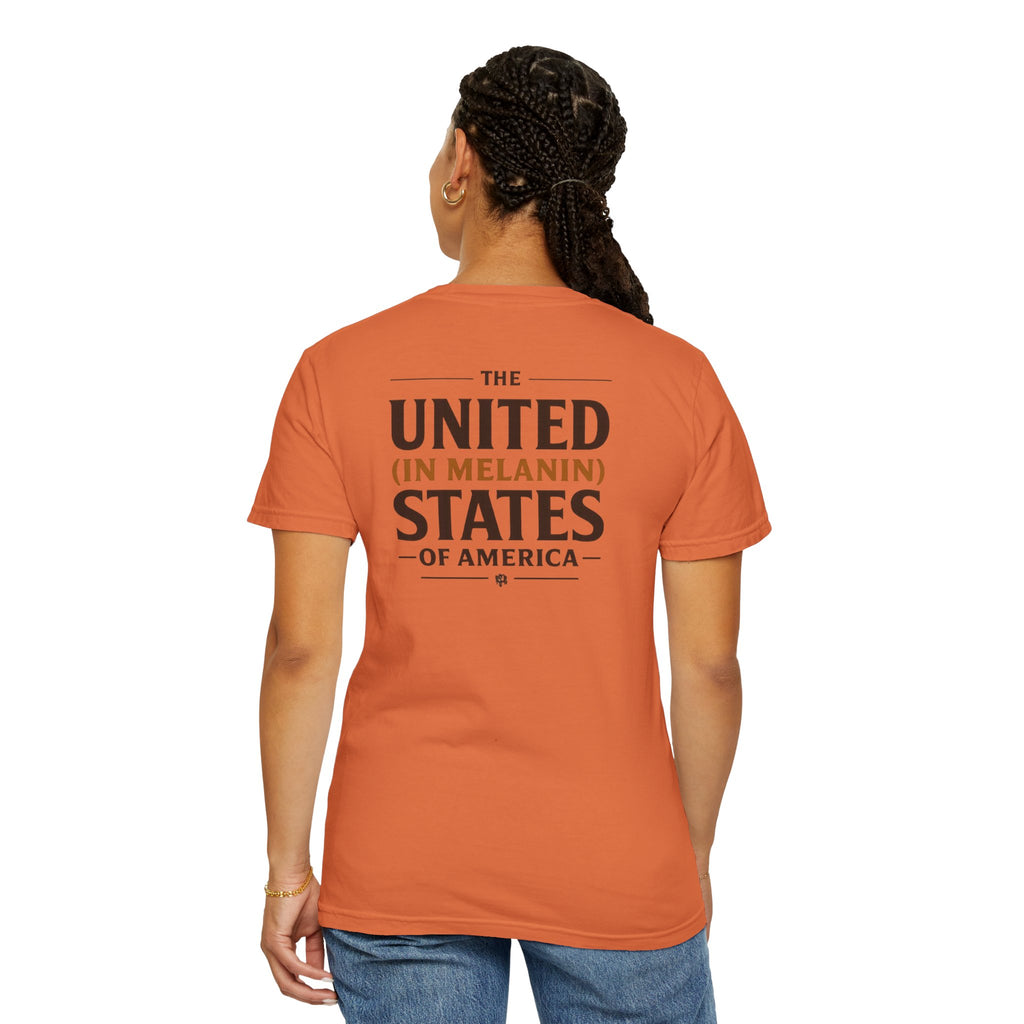 United in Melanin T-Shirt — Brown Shades USA Map Pride Tee