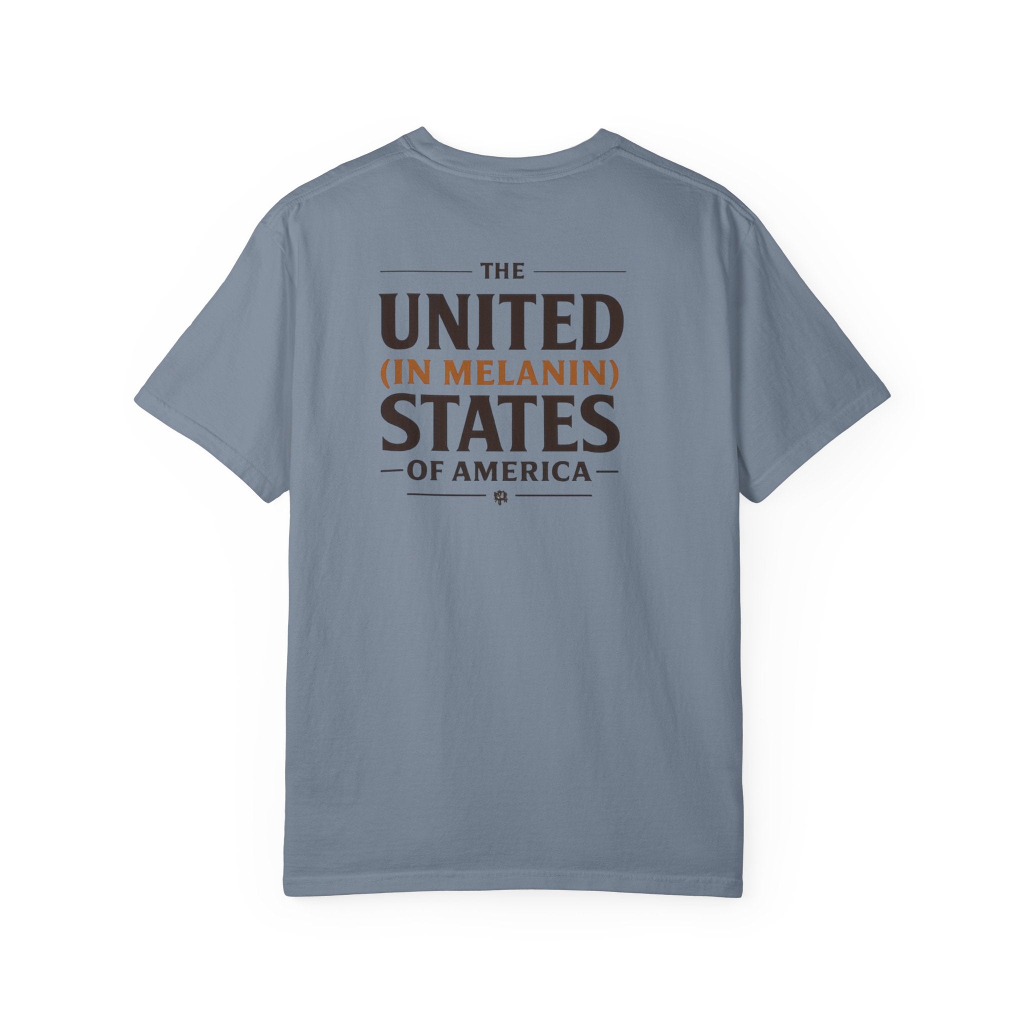 United in Melanin T-Shirt — Brown Shades USA Map Pride Tee
