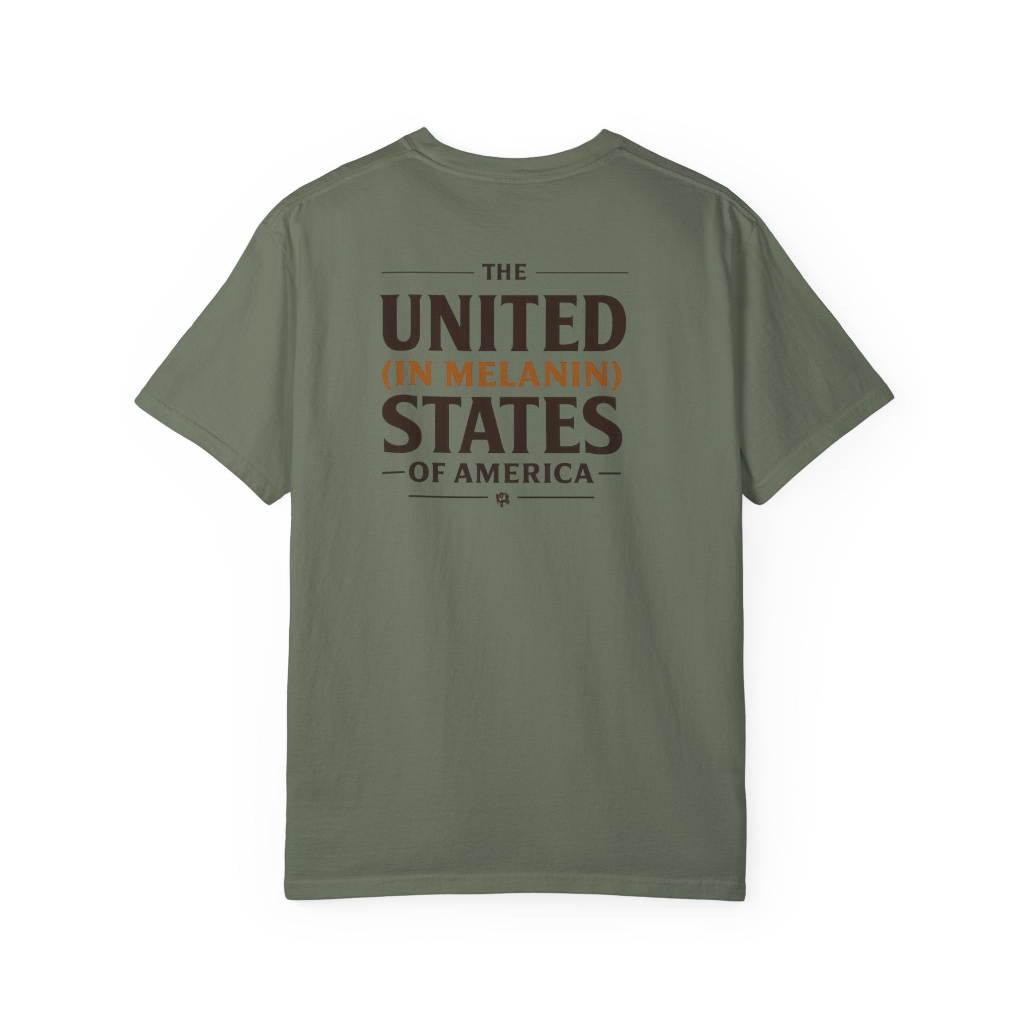 United in Melanin T-Shirt — Brown Shades USA Map Pride Tee
