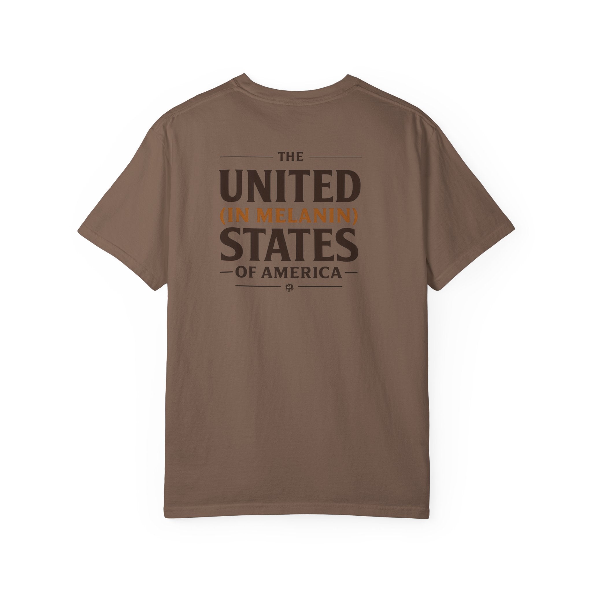United in Melanin T-Shirt — Brown Shades USA Map Pride Tee