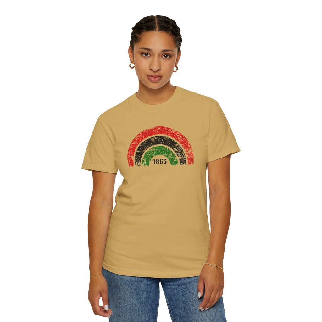 1865 Freedom Rainbow T-Shirt