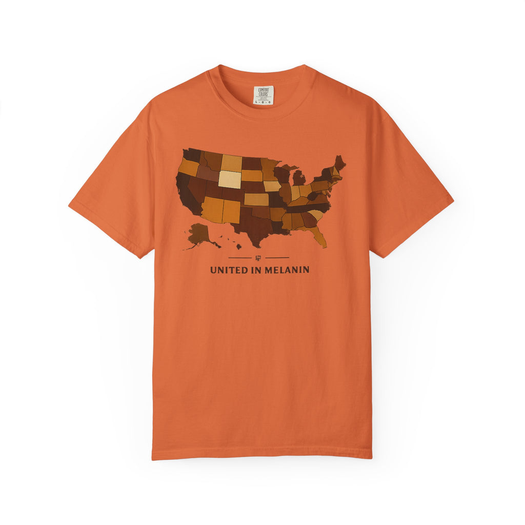 United in Melanin T-Shirt — Brown Shades USA Map Pride Tee