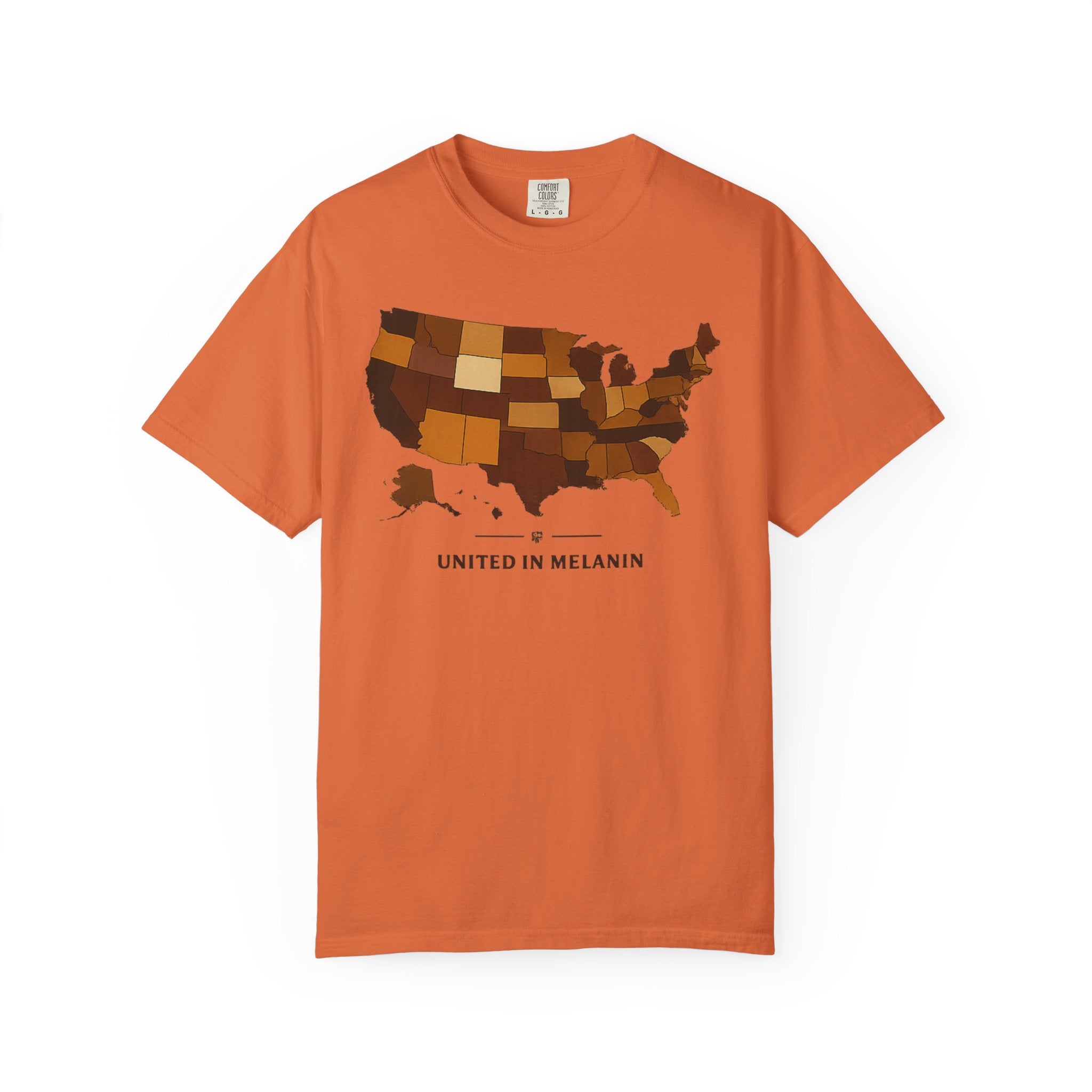United in Melanin T-Shirt — Brown Shades USA Map Pride Tee
