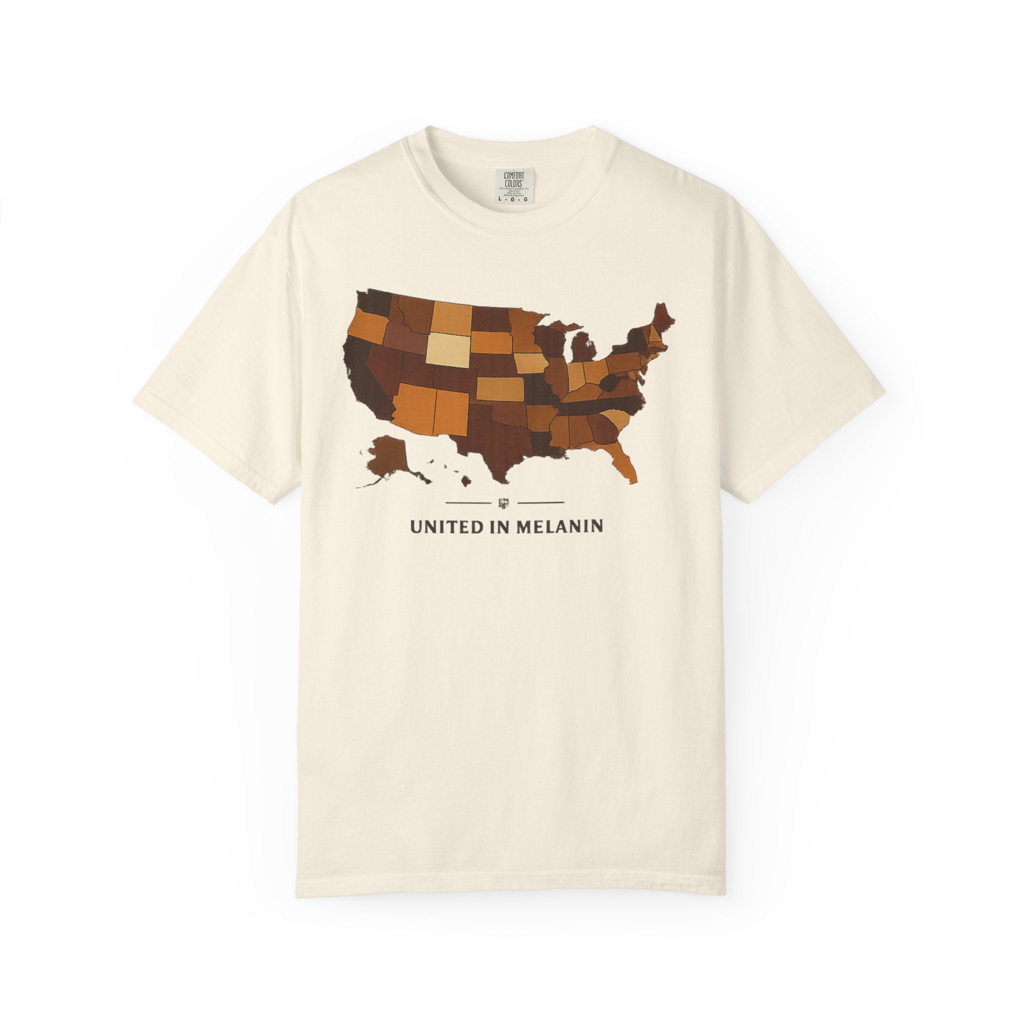 United in Melanin T-Shirt — Brown Shades USA Map Pride Tee