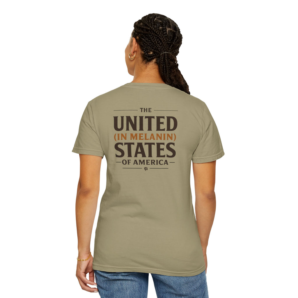United in Melanin T-Shirt — Brown Shades USA Map Pride Tee